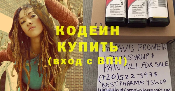 прущие грибы Горнозаводск