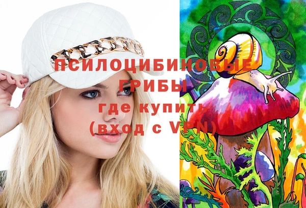 прущие грибы Горнозаводск