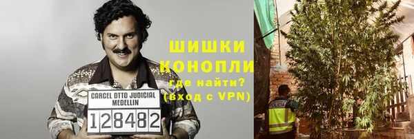 прущие грибы Горнозаводск