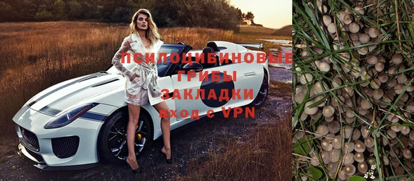 гидропоника Горняк