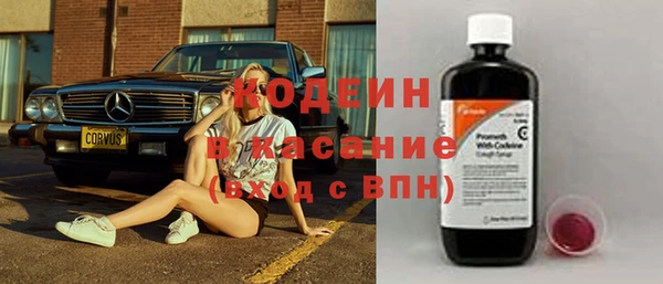 прущие грибы Горнозаводск