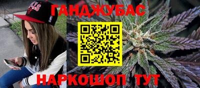 прущие крисы Кингисепп
