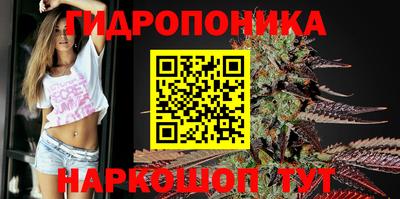 твердый Кинель