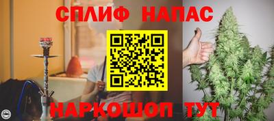 прущие крисы Кингисепп