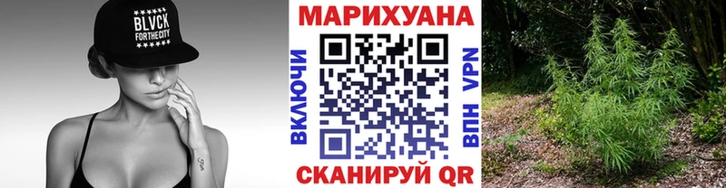 как найти закладки  Нововоронеж  Каннабис SATIVA & INDICA 